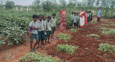 மதுரை | இயற்கை முறை விவசாயம் அறிய களப்பயணம் சென்ற தொடக்கப்பள்ளி மாணவர்கள்