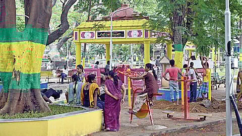 படங்கள்: ம.பிரபு