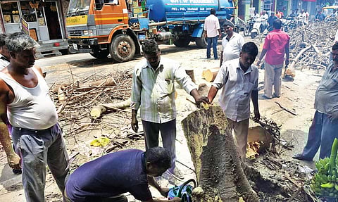 புதுவை காந்தி வீதியில் சாலையில் விழுந்த மரத்தை அப்புறப்படுத்தும் பொதுப்பணித் துறையினர்.