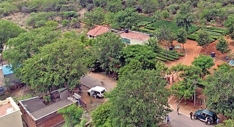 கோவில்பட்டி அருகே அமைந்துள்ள குருமலை காப்பு காடு பகுதி.