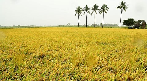 கோப்புப்படம்