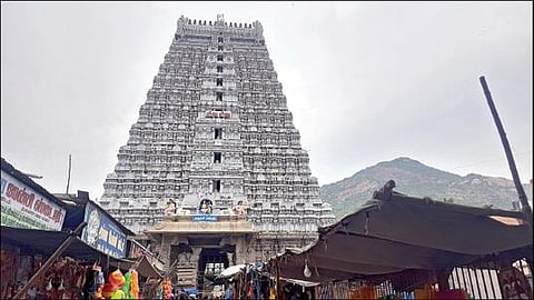 திருவண்ணாமலை அண்ணாமலையார் கோயில். படம்: இரா.தினேஷ்குமார்