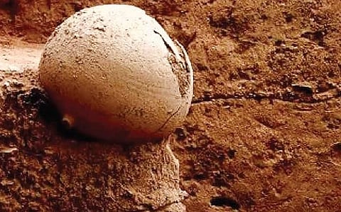 தமிழ்நாடு: கவனம் பெறும் 10 | வரலாறு சொல்லும் நதிகள்