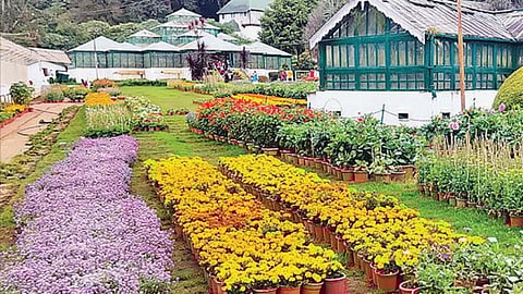 படம்: ஆர்.டி.சிவசங்கர்