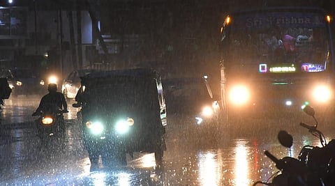 படம்: வி.எம்.மணிநாதன்