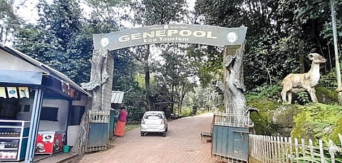 கூடலூர் அருகே நாடுகாணியில் மீண்டும் திறக்கப்பட்டுள்ள ஜீன்பூல் சூழல் சுற்றுலா மையம்.