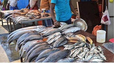 புரட்டாசி மாதம் தொடக்கம்: காசிமேட்டில் மீன்களின் விலை குறைந்தது