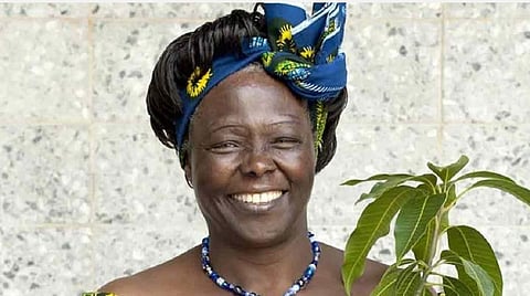 இன்று என்ன? - மரங்களின் தாய்: வங்காரி மாத்தாய்