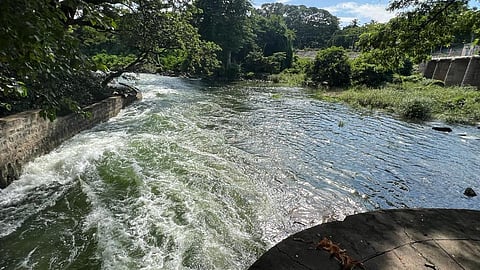 திருவண்ணாமலை மாவட்டம் சாத்தனூர் அணையில் இருந்து மின் உற்பத்திக்காக நீர்வழிந்தோடி பாதை வழியாக முதற்கட்டமாக விநாடிக்கு ஆயிரம் கன அடி தண்ணீர் திறந்துவிடப்பட்டுள்ளது.