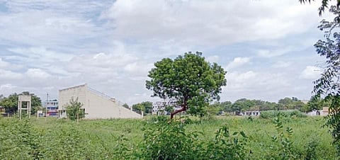 அரூர் அரசு ஆண்கள் மேல்நிலைப்பள்ளியில் உள்ள, மினி விளையாட்டு மைதானம் பராமரிப்பின்றி புதர் மண்டி காட்சியளிக்கிறது. படம்: எஸ். செந்தில்