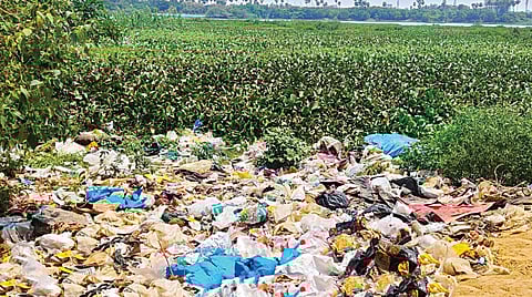 கரையோரங்களில் குப்பைகள் கொட்டப்பட்டு, ஆகாயத்தாமரை செடிகள் படர்ந்து மாசடைந்து கிடக்கும் மணலி- மாத்தூர் ஏரி.