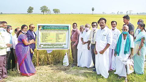 நாட்டு பாசுமதி சாகுபடிக்காக சேத்தியாத்தோப்பு அருகே உள்ள பின்னலூரில் நம்மாழ்வார் நினைவு வயல் வெளி செயல் விளக்க பண்ணையம் திறந்து வைக்கப் பட்டது.