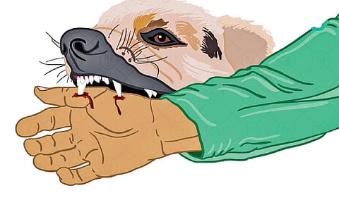 அரசு மருத்துவமனைகளில் நாய்கடி சிகிச்சைக்கு குவியும் மக்கள் | உலக 'ரேபிஸ்' தின பகிர்வு