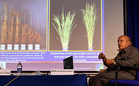 எம்.எஸ்.சுவாமிநாதன் | கோப்புப் படம்