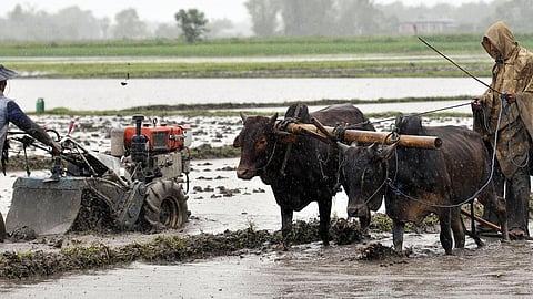 பிரதிநிதித்துவப் படம்