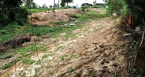 சாலை அமைக்கும் பணியையொட்டி தூர்வாரப்பட்டுள்ள வண்டியூர் கண்மாய் உபரி நீர் செல்லும் கால்வாய். படம்: நா.தங்கரத்தினம்