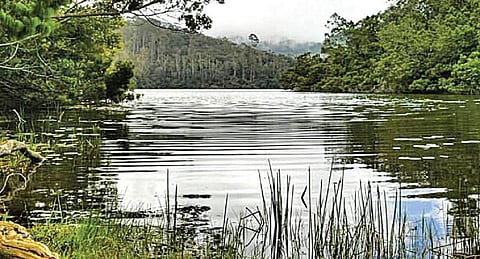 கொடைக்கானலில் பரிசல் சவாரி நிறுத்தப்பட்ட பேரிஜம் ஏரி.