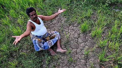 கருகிய பயிருடன் வேதனையின் சாட்சியாக விவசாயி | கோப்புப் படம்