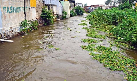 ஈரோட்டில் பெய்த கனமழையால், பிச்சைக்காரன் பள்ளம் ஓடையில் வெள்ளப்பெருக்கு ஏற்பட்டுள்ளது.