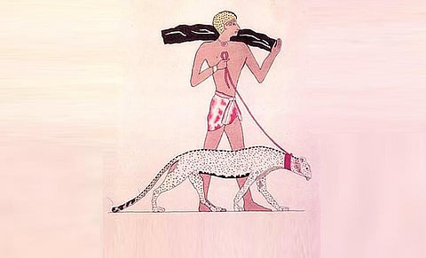 இயற்கையின் பேழையிலிருந்து! - 6: இந்தியாவில் சிவிங்கிப்புலி