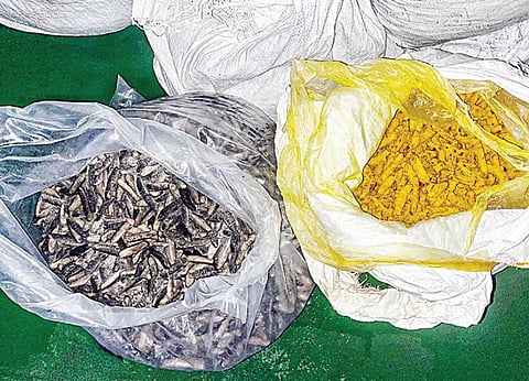 பறிமுதல் செய்யப்பட்ட கடல் அட்டை, மஞ்சள்