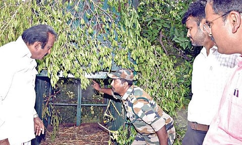அறச்சலூர் தலவமலை பகுதியில் நடமாடும் சிறுத்தையை பிடிப்பதற்காக, அட்டவணை அனுமன்பள்ளி பகுதியில் வனத்துறையின் மூலம் வைக்கப்படுள்ள கூண்டினை அமைச்சர் சு.முத்துசாமி பார்வையிட்டார்.