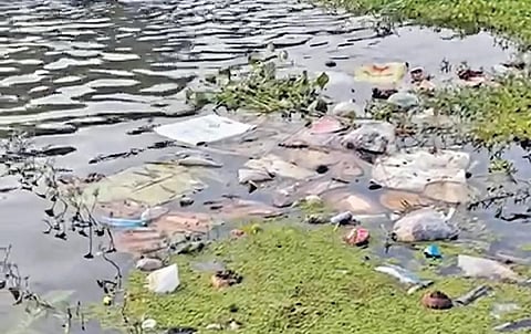 பொள்ளாச்சியை அடுத்த அம்பராம்பாளையம் பகுதி ஆழியாறு ஆற்றில் வீசி செல்லப்பட்டுள்ள துணிகள், கழிவுகள்.