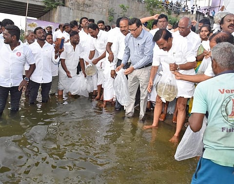 நாட்டின மீன் இனங்களை பாதுகாத்துப் பெருக்கிட மேட்டூர் காவிரி ஆற்றில் 1 லட்சம் மீன் விரலிகள் விடுவிடுப்பு