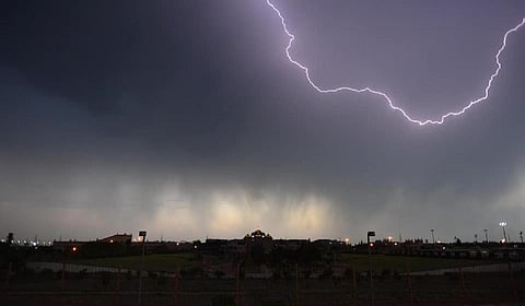 கிருஷ்ணகிரியில் தொடர் மழை - வேப்பனப்பள்ளி அருகே மின்னல் தாக்கி 8 ஆடுகள் உயிரிழப்பு