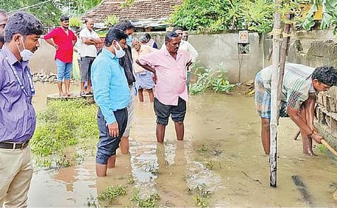 பிரதிநிதித்துவப் படம்