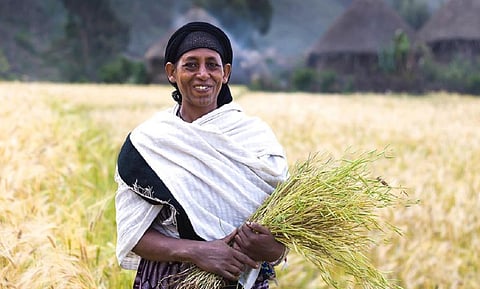 பிரதிநிதித்துவப் படம்