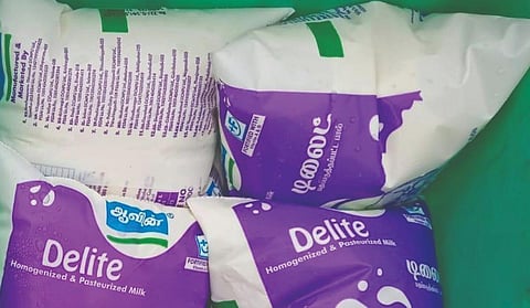 ஆவின் மாதாந்திர அட்டைதாரர்களுக்கு டிலைட் பால் விற்பனை தொடக்கம்: நெய் விலை லிட்டருக்கு ரூ.50 தள்ளுபடி