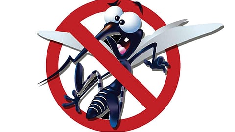 ராணிப்பேட்டையில் டெங்கு, வைரஸ் காய்ச்சல் பாதிப்பு - தடுப்பு பணிகளில் கூடுதல் கவனம் செலுத்தப்படுமா?