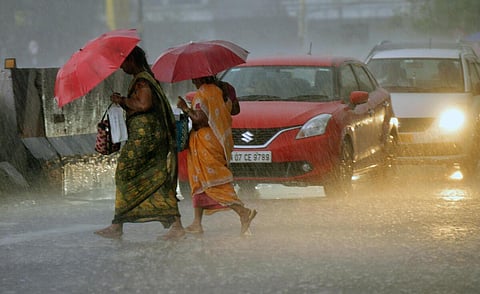 படம்: ஆர்.ரவீந்திரன்