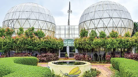 வண்ணத்துப்பூச்சி பூங்காவில் அரிய வகை வண்ணத்துப்பூச்சிகளை பராமரிக்கும் குளிர்சாதன வசதியுடன் கூடிய உள்ளரங்கு பாதுகாப்பு மையம். | படங்கள்: ர.செல்வமுத்துகுமார்