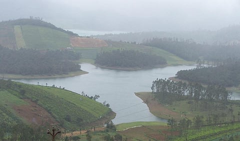 சோலைக் காடுகளின் சுவாசத்தை நிறுத்துவதா?