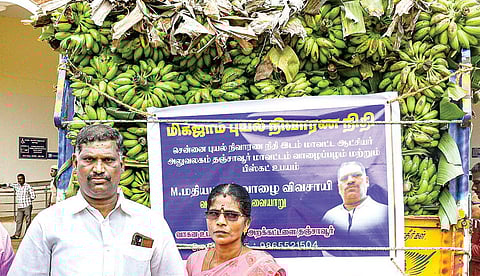 தஞ்சாவூர் ஆட்சியர் அலுவலகத்தில் நேற்று 4 டன் வாழைத்தார்களை வழங்கிய விவசாய தம்பதி. | படம்: ஆர்.வெங்கடேஷ்