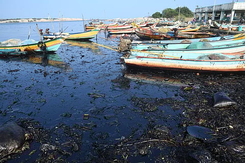 எண்ணூர் எண்ணெய் கழிவுகளை அகற்றும் பணியில் 75 படகுகள், 300 பணியாட்கள் தீவிரம்