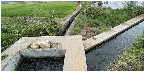 பழநியில் கழிவுநீர் கலந்து கருப்பு நிறத்தில் வரும் தண்ணீர்