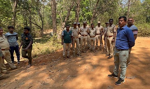 பிரதிநிதித்துவப் படம்