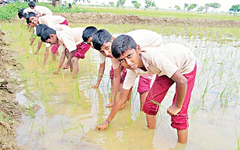 கதைக் குறள் 52: படிக்காவிட்டால் விலங்குக்கு சமமாக மதிப்பார்கள்