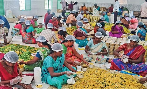 கனமழையால் பாதிக்கப்பட்ட தென்மாவட்ட மக்களுக்காக சிவகாசி மாநகராட்சி சார்பில் உணவு தயாரிப்பு பணியில் ஈடுபட்டுள்ளோர்.