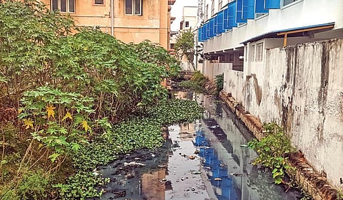 வயலூர் சாலை சீனிவாசா நகர் மற்றும் கீதா நகர் பகுதிகளில் ஆக்கிரமிப்பால் சுருங்கி காணப்படும் காத்தான் வாய்க்கால். | படங்கள்: தீ.பிரசன்ன வெங்கடேஷ்