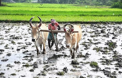 தேசிய விவசாயிகள் தினம் | உழவர்களுக்கு உறுதுணையாக அரசு நிற்கும்: முதல்வர், தலைவர்கள் வாழ்த்து