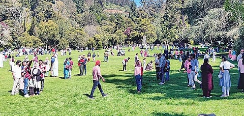 படம்: ஆர்.டி.சிவசங்கர்