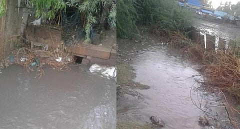 பொதுப்பணித் துறை அலட்சியம்: ஆவுடையார் குளம் கரை உடைந்து வெளியேறிய தண்ணீர்