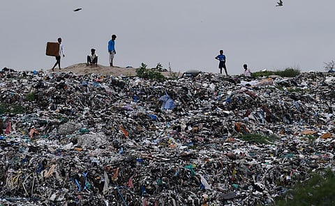பெருங்குடியில் சுற்றுச்சூழல் பூங்கா: 8-ம் தேதி கருத்து கேட்பு