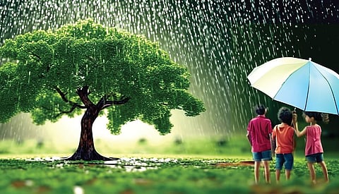 விடை தேடும் அறிவியல் 35: மரம் வளர்த்தால் மழை கிடைக்குமா?