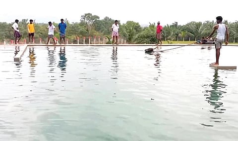 ஜல்லிக்கட்டு காளைகளுக்கு பயிற்சி அளிக்க ரூ.30 லட்சத்தில் நீச்சல் குளம் - விவசாயி முன்முயற்சி!