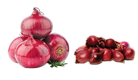 ஏற்றுமதி தடையோ பெருசுக்கு... பாதிப்போ சிறுசுக்கு! - வெங்காய விலை குறைவால் விவசாயிகள் கண்ணீர்